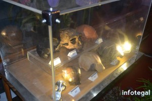 Pameran Arkeologi Tegal