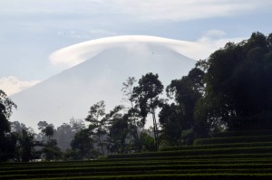 Fenomena Awan Payung di Gunung Slamet