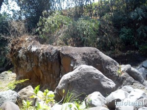 Arca Ular di dekat Curug Cawitali