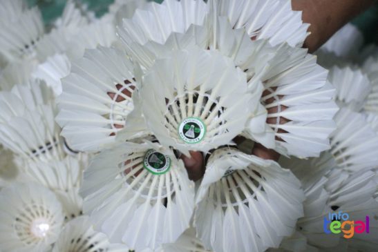 Shuttlecock Lawatan Tegal 2
